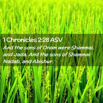 Picture 02 - 1 Chronicles 2:28 ASV - And the sons of Onam were Shammai, and Jada. And - Bible Verse Picture