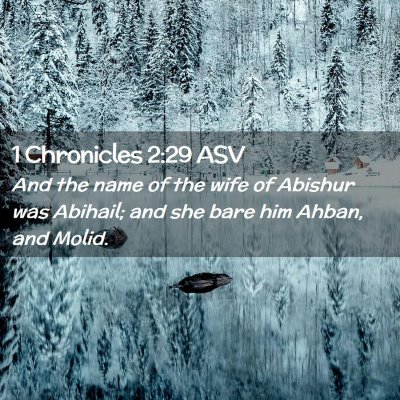 Picture 02 - 1 Chronicles 2:29 ASV - And the name of the wife of Abishur was Abihail; - Bible Verse Picture