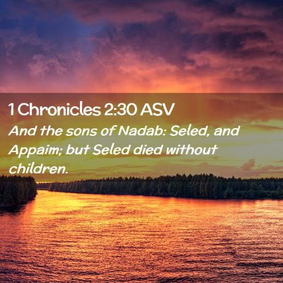 Picture 02 - 1 Chronicles 2:30 ASV - And the sons of Nadab: Seled, and Appaim; but - Bible Verse Picture