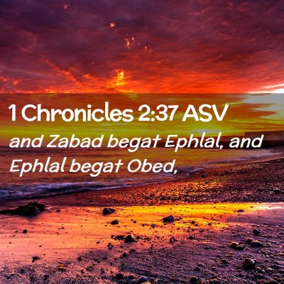 Picture 02 - 1 Chronicles 2:37 ASV - and Zabad begat Ephlal, and Ephlal begat - Bible Verse Picture