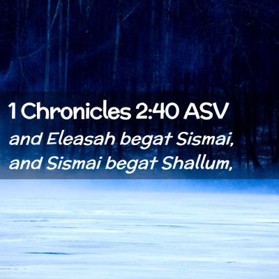 Picture 02 - 1 Chronicles 2:40 ASV - and Eleasah begat Sismai, and Sismai begat - Bible Verse Picture
