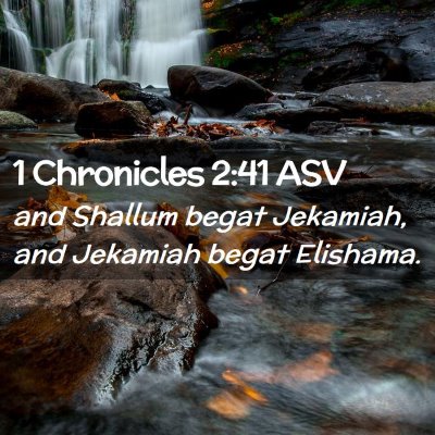 Picture 02 - 1 Chronicles 2:41 ASV - and Shallum begat Jekamiah, and Jekamiah begat - Bible Verse Picture