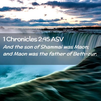 Picture 02 - 1 Chronicles 2:45 ASV - And the son of Shammai was Maon; and Maon was the - Bible Verse Picture