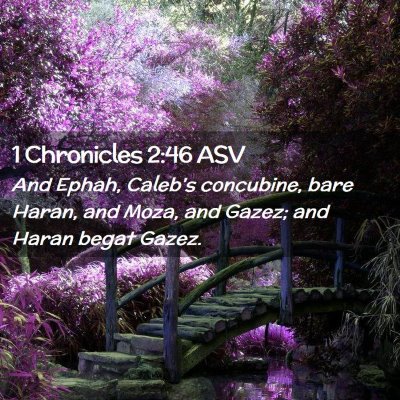 Picture 02 - 1 Chronicles 2:46 ASV - And Ephah, Caleb's concubine, bare Haran, and - Bible Verse Picture