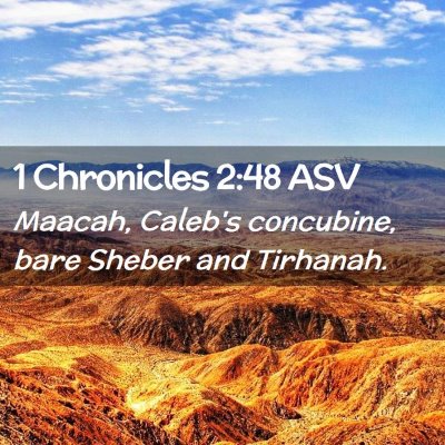 Picture 02 - 1 Chronicles 2:48 ASV - Maacah, Caleb's concubine, bare Sheber and - Bible Verse Picture