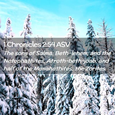 Picture 02 - 1 Chronicles 2:54 ASV - The sons of Salma: Beth-lehem, and the - Bible Verse Picture