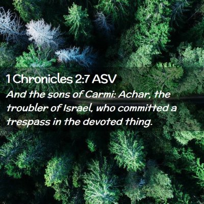Picture 02 - 1 Chronicles 2:7 ASV - And the sons of Carmi: Achar, the troubler of - Bible Verse Picture
