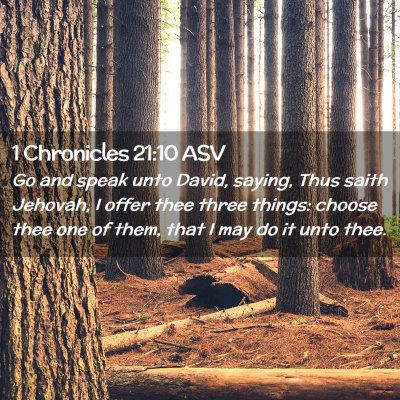 Picture 02 - 1 Chronicles 21:10 ASV - Go and speak unto David, saying, Thus saith - Bible Verse Picture