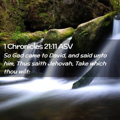 Picture 02 - 1 Chronicles 21:11 ASV - So Gad came to David, and said unto him, Thus - Bible Verse Picture