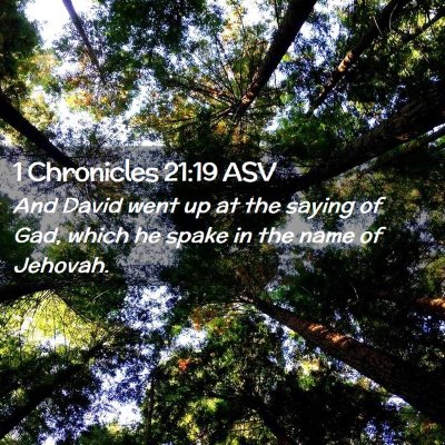Picture 02 - 1 Chronicles 21:19 ASV - And David went up at the saying of Gad, which he - Bible Verse Picture