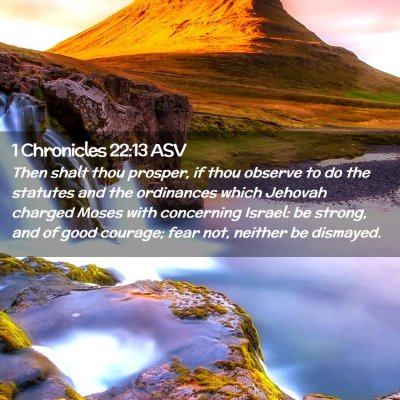 Picture 02 - 1 Chronicles 22:13 ASV - Then shalt thou prosper, if thou observe to do - Bible Verse Picture