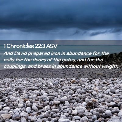 Picture 02 - 1 Chronicles 22:3 ASV - And David prepared iron in abundance for the - Bible Verse Picture