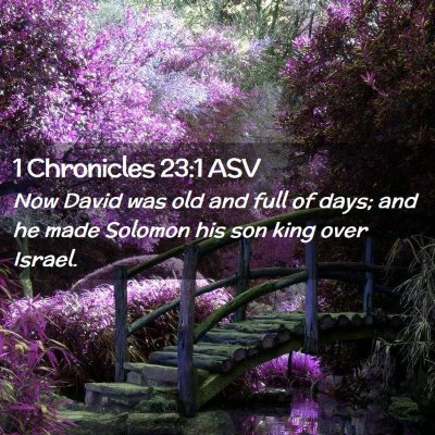 Picture 02 - 1 Chronicles 23:1 ASV - Now David was old and full of days; and he made - Bible Verse Picture
