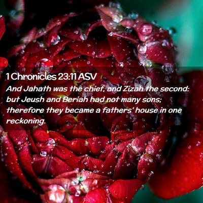 Picture 02 - 1 Chronicles 23:11 ASV - And Jahath was the chief, and Zizah the second: - Bible Verse Picture