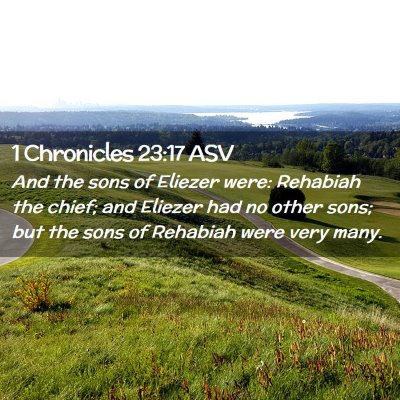 Picture 02 - 1 Chronicles 23:17 ASV - And the sons of Eliezer were: Rehabiah the chief; - Bible Verse Picture