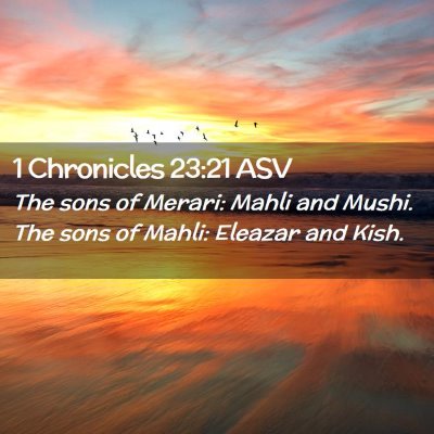 Picture 02 - 1 Chronicles 23:21 ASV - The sons of Merari: Mahli and Mushi. The sons of - Bible Verse Picture