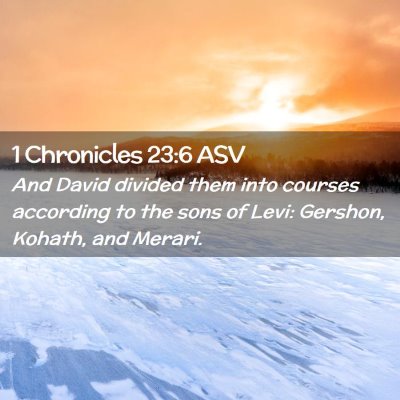 Picture 02 - 1 Chronicles 23:6 ASV - And David divided them into courses according to - Bible Verse Picture