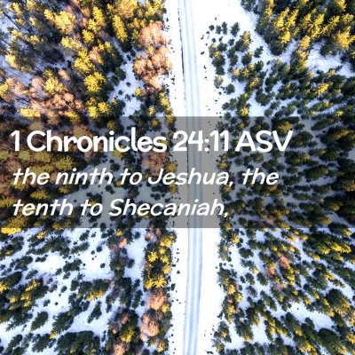 Picture 02 - 1 Chronicles 24:11 ASV - the ninth to Jeshua, the tenth to - Bible Verse Picture