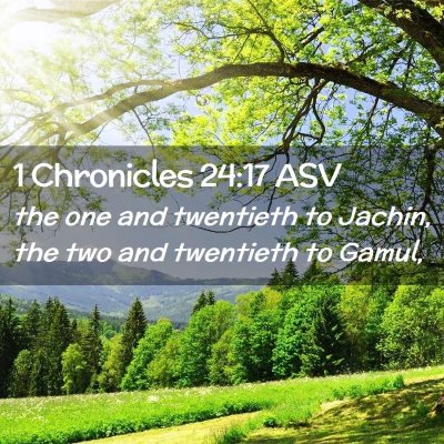 Picture 02 - 1 Chronicles 24:17 ASV - the one and twentieth to Jachin, the two and - Bible Verse Picture