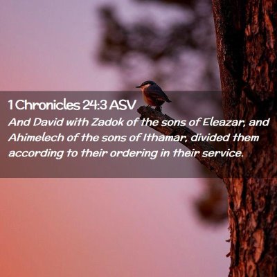 Picture 02 - 1 Chronicles 24:3 ASV - And David with Zadok of the sons of Eleazar, and - Bible Verse Picture