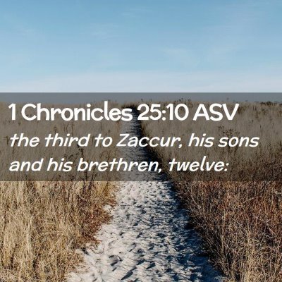 Picture 02 - 1 Chronicles 25:10 ASV - the third to Zaccur, his sons and his brethren, - Bible Verse Picture