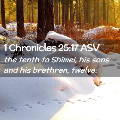 Picture 02 - 1 Chronicles 25:17 ASV - the tenth to Shimei, his sons and his brethren, - Bible Verse Picture