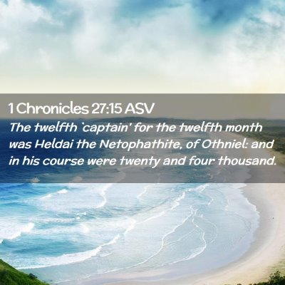 Picture 02 - 1 Chronicles 27:15 ASV - The twelfth `captain' for the twelfth month was - Bible Verse Picture