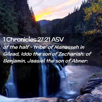 Picture 02 - 1 Chronicles 27:21 ASV - of the half -`tribe' of Manasseh in Gilead, Iddo - Bible Verse Picture