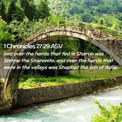 Picture 02 - 1 Chronicles 27:29 ASV - and over the herds that fed in Sharon was Shitrai - Bible Verse Picture