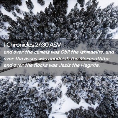 Picture 02 - 1 Chronicles 27:30 ASV - and over the camels was Obil the Ishmaelite: and - Bible Verse Picture