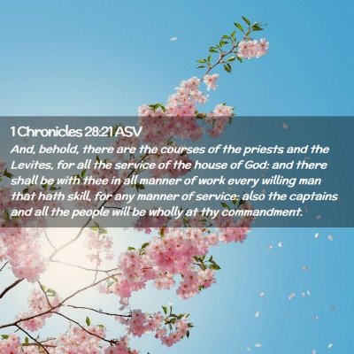 Picture 02 - 1 Chronicles 28:21 ASV - And, behold, there are the courses of the priests - Bible Verse Picture