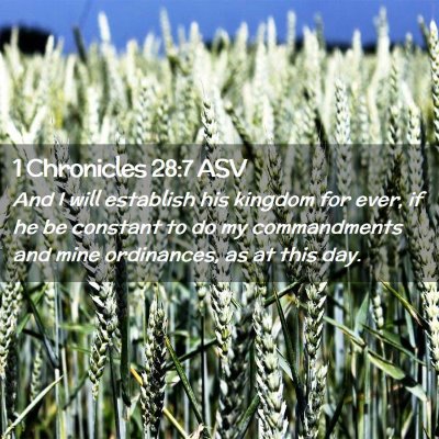 Picture 02 - 1 Chronicles 28:7 ASV - And I will establish his kingdom for ever, if he - Bible Verse Picture