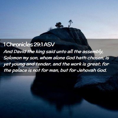Picture 02 - 1 Chronicles 29:1 ASV - And David the king said unto all the assembly, - Bible Verse Picture
