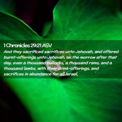 Picture 02 - 1 Chronicles 29:21 ASV - And they sacrificed sacrifices unto Jehovah, and - Bible Verse Picture