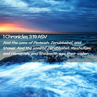 Picture 02 - 1 Chronicles 3:19 ASV - And the sons of Pedaiah: Zerubbabel, and Shimei. - Bible Verse Picture