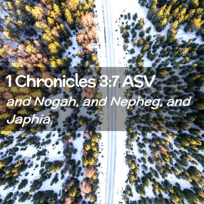 Picture 02 - 1 Chronicles 3:7 ASV - and Nogah, and Nepheg, and - Bible Verse Picture