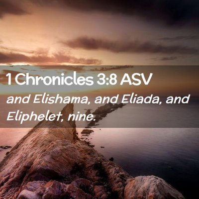 Picture 02 - 1 Chronicles 3:8 ASV - and Elishama, and Eliada, and Eliphelet, - Bible Verse Picture