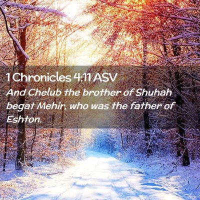 Picture 02 - 1 Chronicles 4:11 ASV - And Chelub the brother of Shuhah begat Mehir, who - Bible Verse Picture