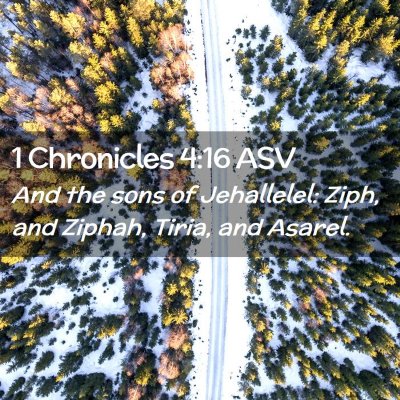 Picture 02 - 1 Chronicles 4:16 ASV - And the sons of Jehallelel: Ziph, and Ziphah, - Bible Verse Picture