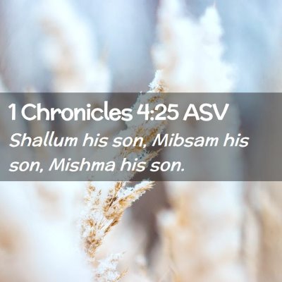 Picture 02 - 1 Chronicles 4:25 ASV - Shallum his son, Mibsam his son, Mishma his - Bible Verse Picture