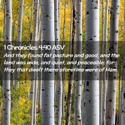 Picture 02 - 1 Chronicles 4:40 ASV - And they found fat pasture and good, and the land - Bible Verse Picture