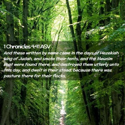 Picture 02 - 1 Chronicles 4:41 ASV - And these written by name came in the days of - Bible Verse Picture