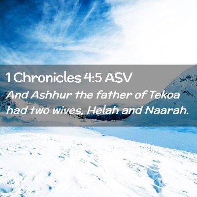 Picture 02 - 1 Chronicles 4:5 ASV - And Ashhur the father of Tekoa had two wives, - Bible Verse Picture