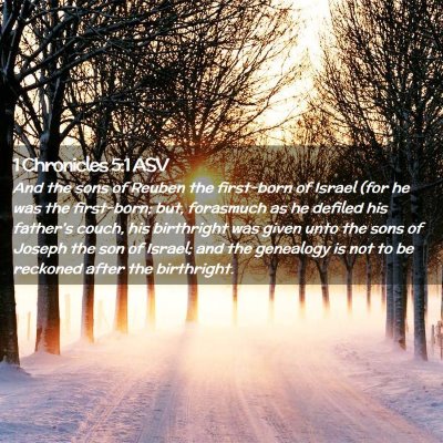 Picture 02 - 1 Chronicles 5:1 ASV - And the sons of Reuben the first-born of Israel - Bible Verse Picture