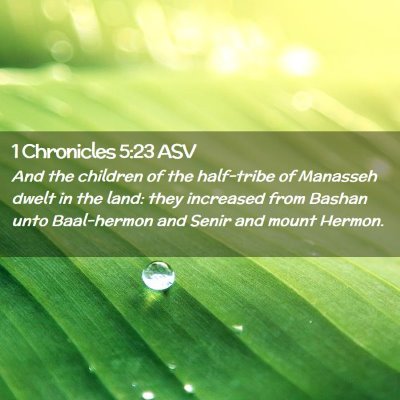 Picture 02 - 1 Chronicles 5:23 ASV - And the children of the half-tribe of Manasseh - Bible Verse Picture