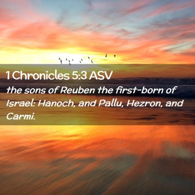 Picture 02 - 1 Chronicles 5:3 ASV - the sons of Reuben the first-born of Israel: - Bible Verse Picture
