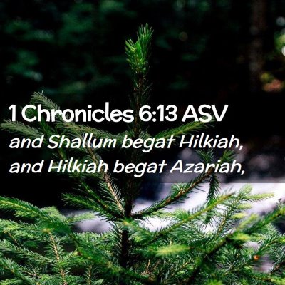 Picture 02 - 1 Chronicles 6:13 ASV - and Shallum begat Hilkiah, and Hilkiah begat - Bible Verse Picture
