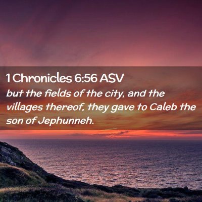 Picture 02 - 1 Chronicles 6:56 ASV - but the fields of the city, and the villages - Bible Verse Picture