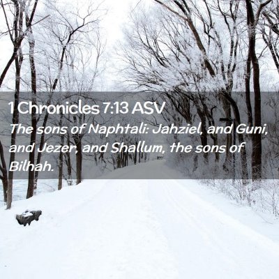 Picture 02 - 1 Chronicles 7:13 ASV - The sons of Naphtali: Jahziel, and Guni, and - Bible Verse Picture
