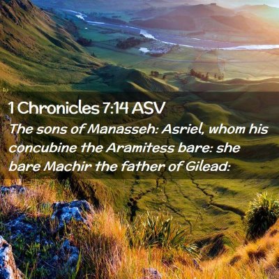 Picture 02 - 1 Chronicles 7:14 ASV - The sons of Manasseh: Asriel, whom his concubine - Bible Verse Picture